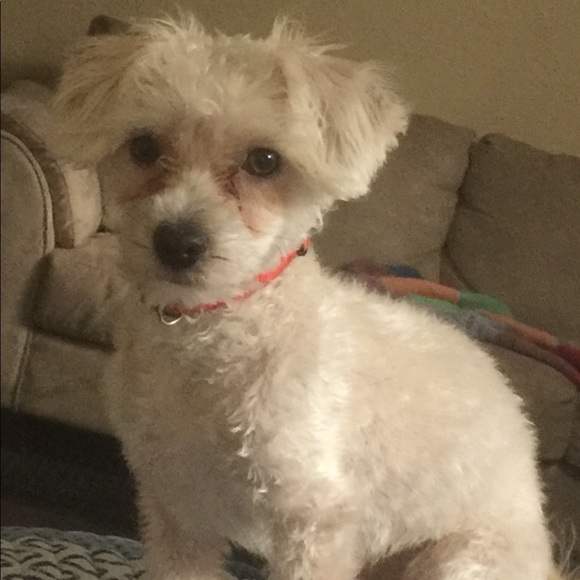 Meet your Posher, Angela - Picture 1 of 1